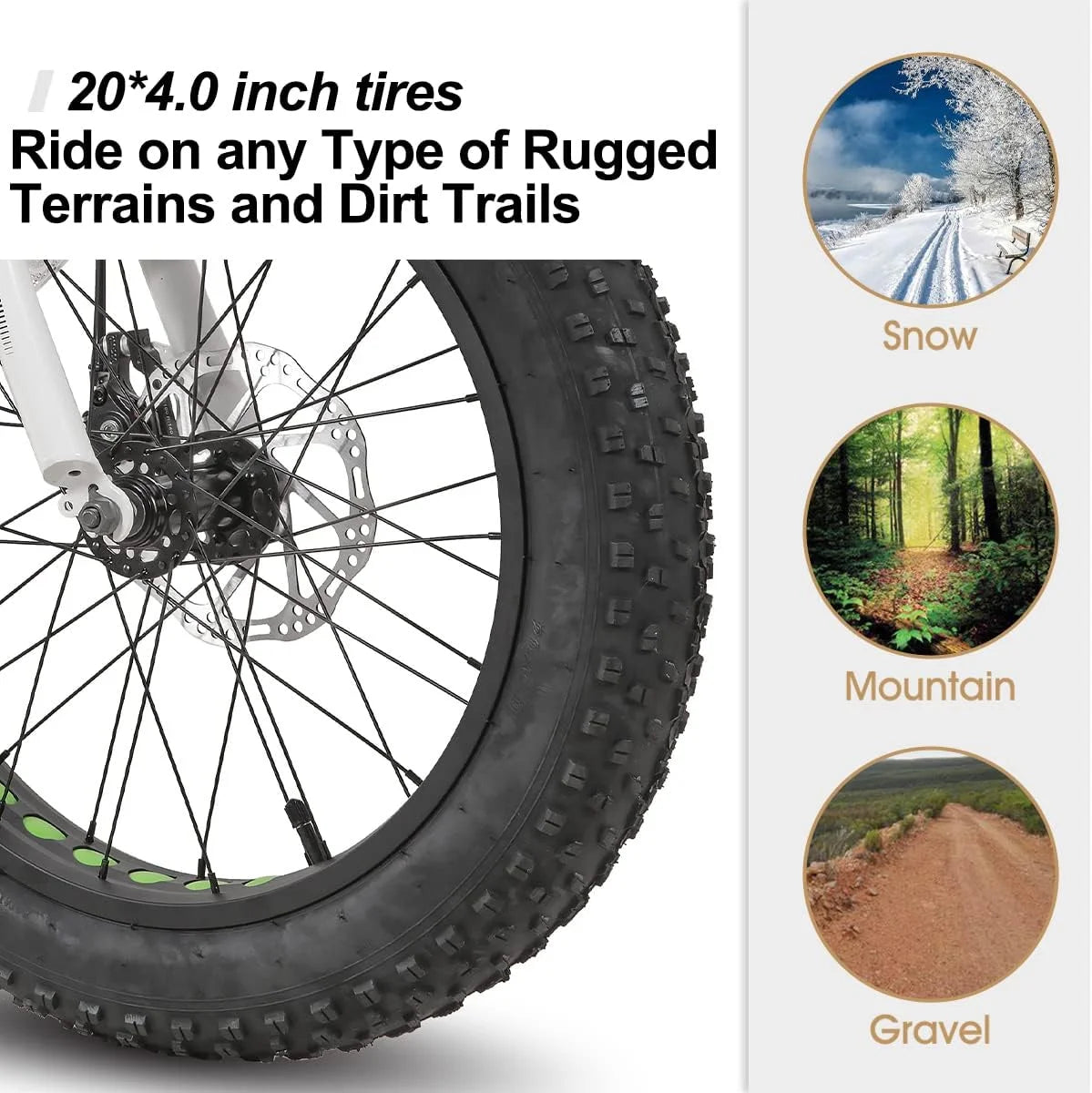 20 inch 7-Speed Dual-Disc Brakes Kids Mountain Bike L751983
