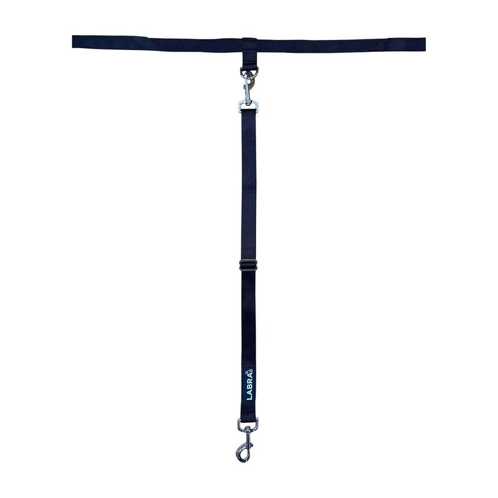 Dog Truck Bed Leash Tether I16135