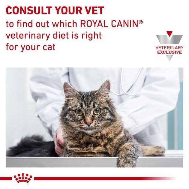 Adult Cat Weight Management Loaf in Sauce Wet Food C532
