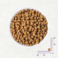 Grain Free Small Breed Dry Puppy Food W51630