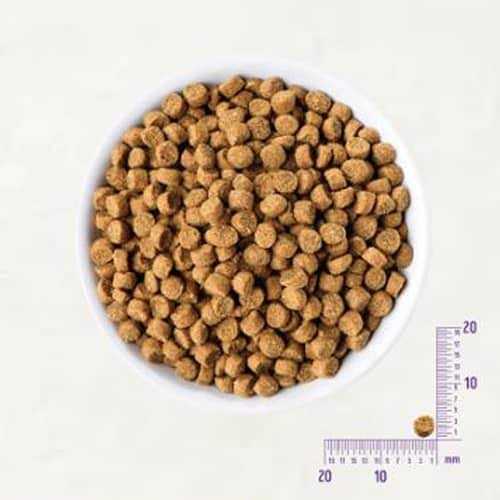 Grain Free Small Breed Dry Puppy Food W51630