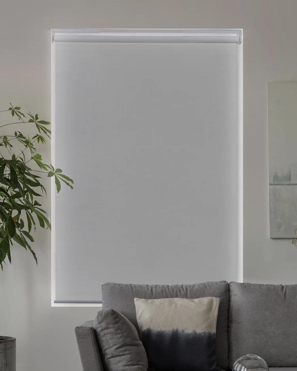 Cordless Blackout Roller Shade 23"W X 72"H C4150