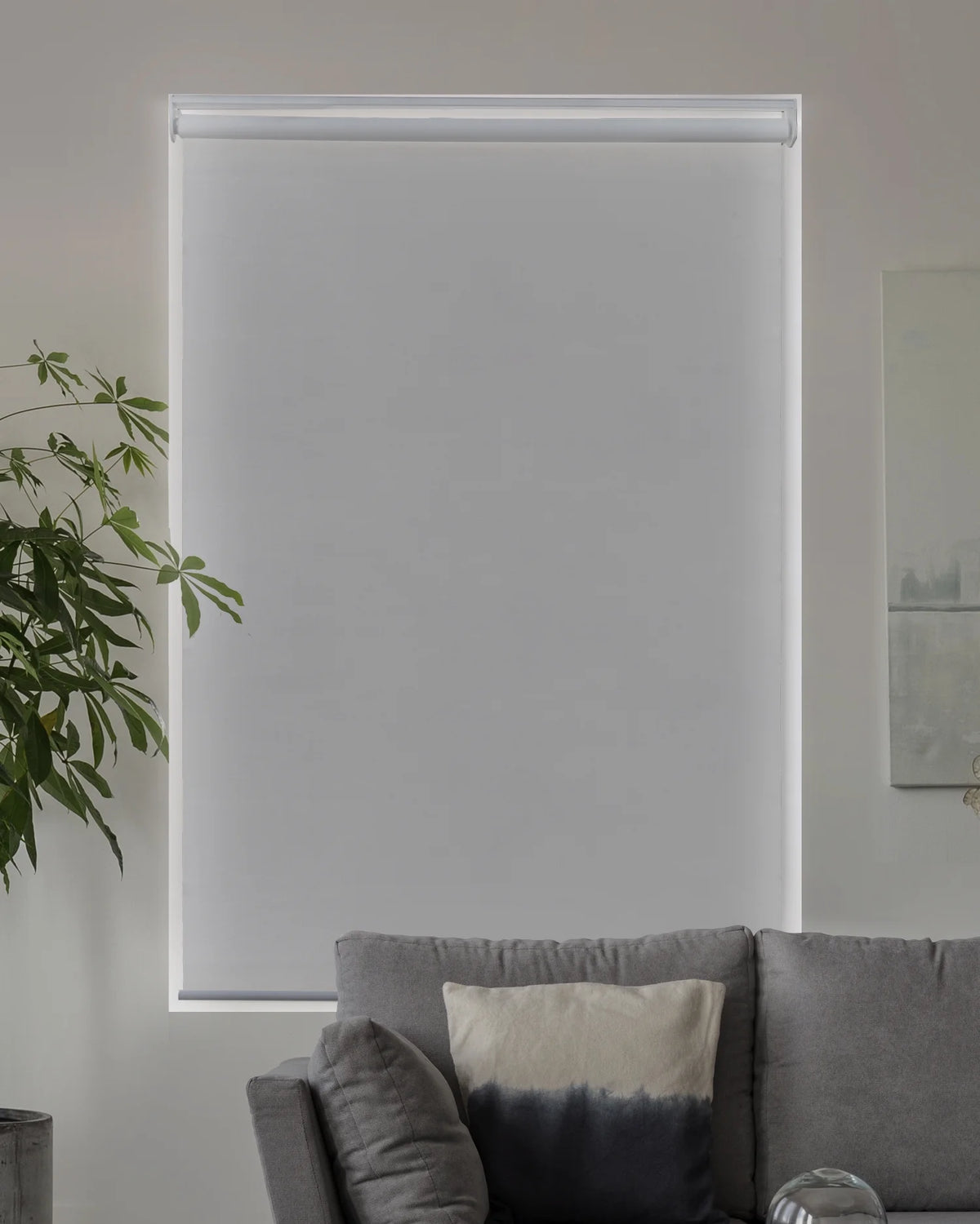 Cordless Blackout Roller Shade 23"W X 72"H C4150