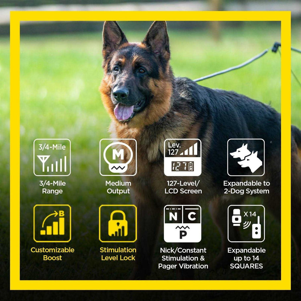 Dogtra ARC Handsfree Plus Boost & Lock R564765