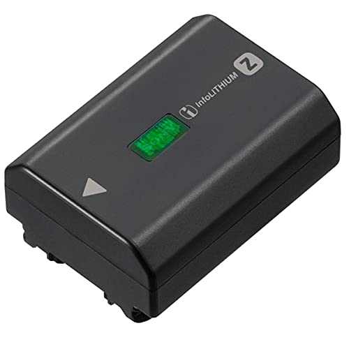 Rechargeable Battery Pack with Cleaning Kit P115271