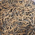 Dried Cordyceps sinensis 6 pcs 1g F405770