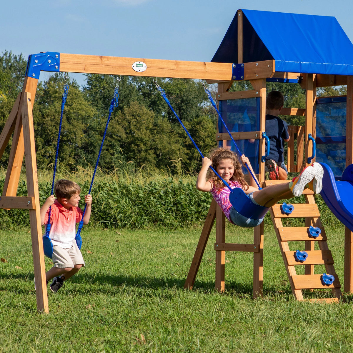 Wooden Cedar Swing Set A3139