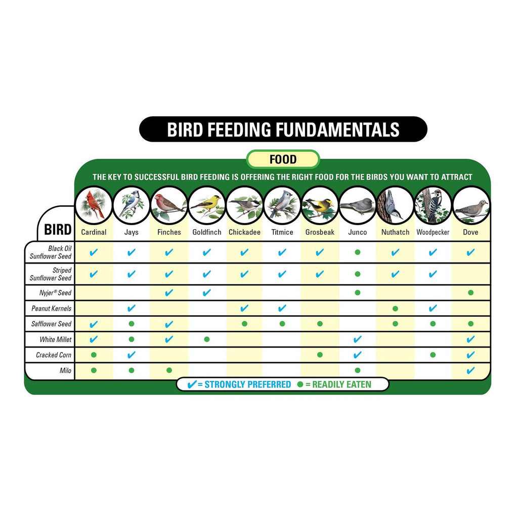Wild Bird Food with Cherry Flavor U733