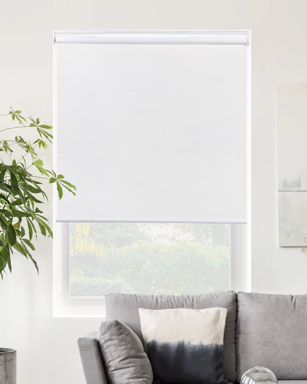Cordless Blackout Roller Shade 23"W X 72"H C4150