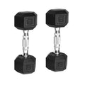 10lb Coated Rubber Hex Dumbbell Pair Z2525