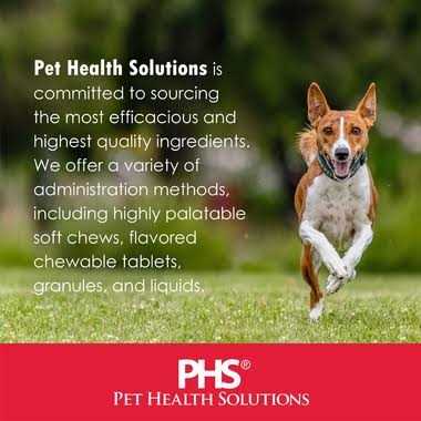 Softgel Capsules for Large Dogs Q484