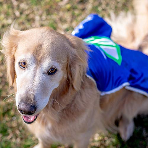 Personalized Dog Superhero Cape Small Red N2758
