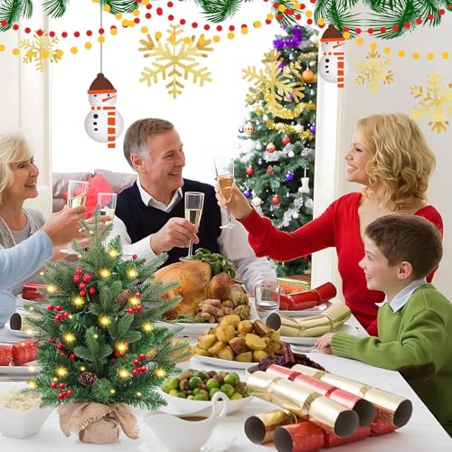 20 inch Small Christmas Tree with Lights Y553865