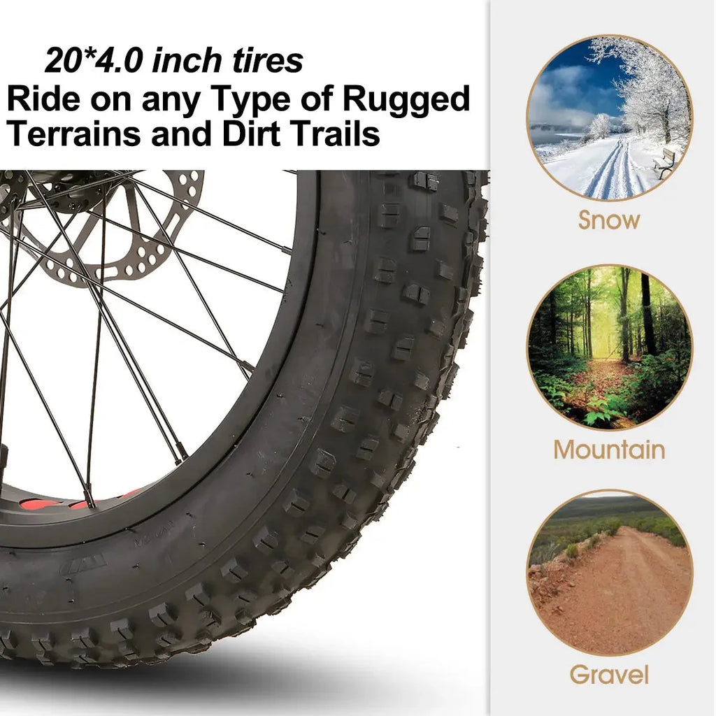 20 inch 7-Speed Dual-Disc Brakes Kids Mountain Bike L751983