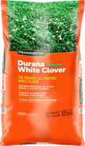 White Clover Grass Seed 25lb M1899