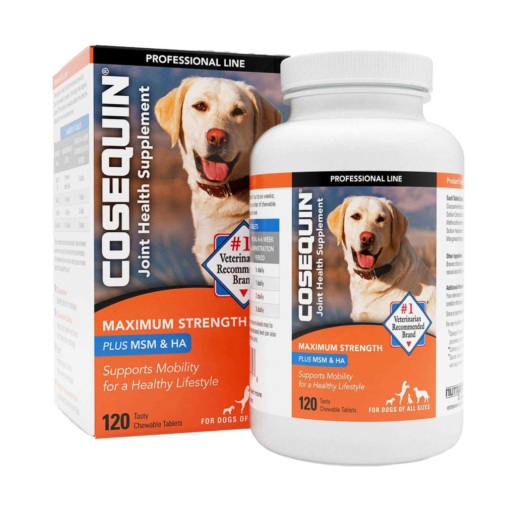 Dog Supplement I4844