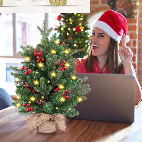 20 inch Small Christmas Tree with Lights Y553865