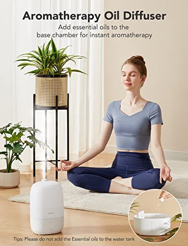3L Cool Mist Humidifier with Essential Oil Diffuser M898217