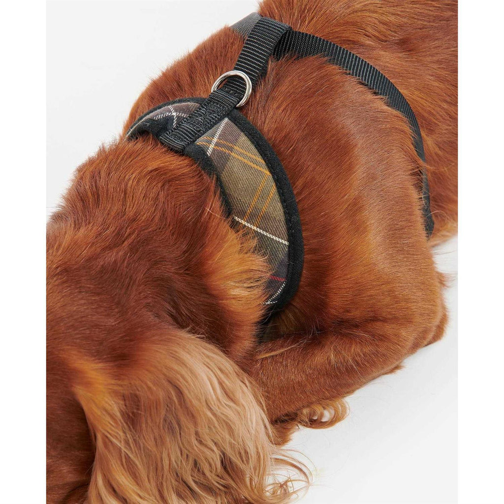 Tartan Dog Harness V85126