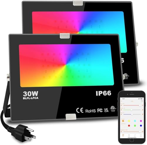 30W RGBW Color Changing LED Flood Light 2 Pack B5451