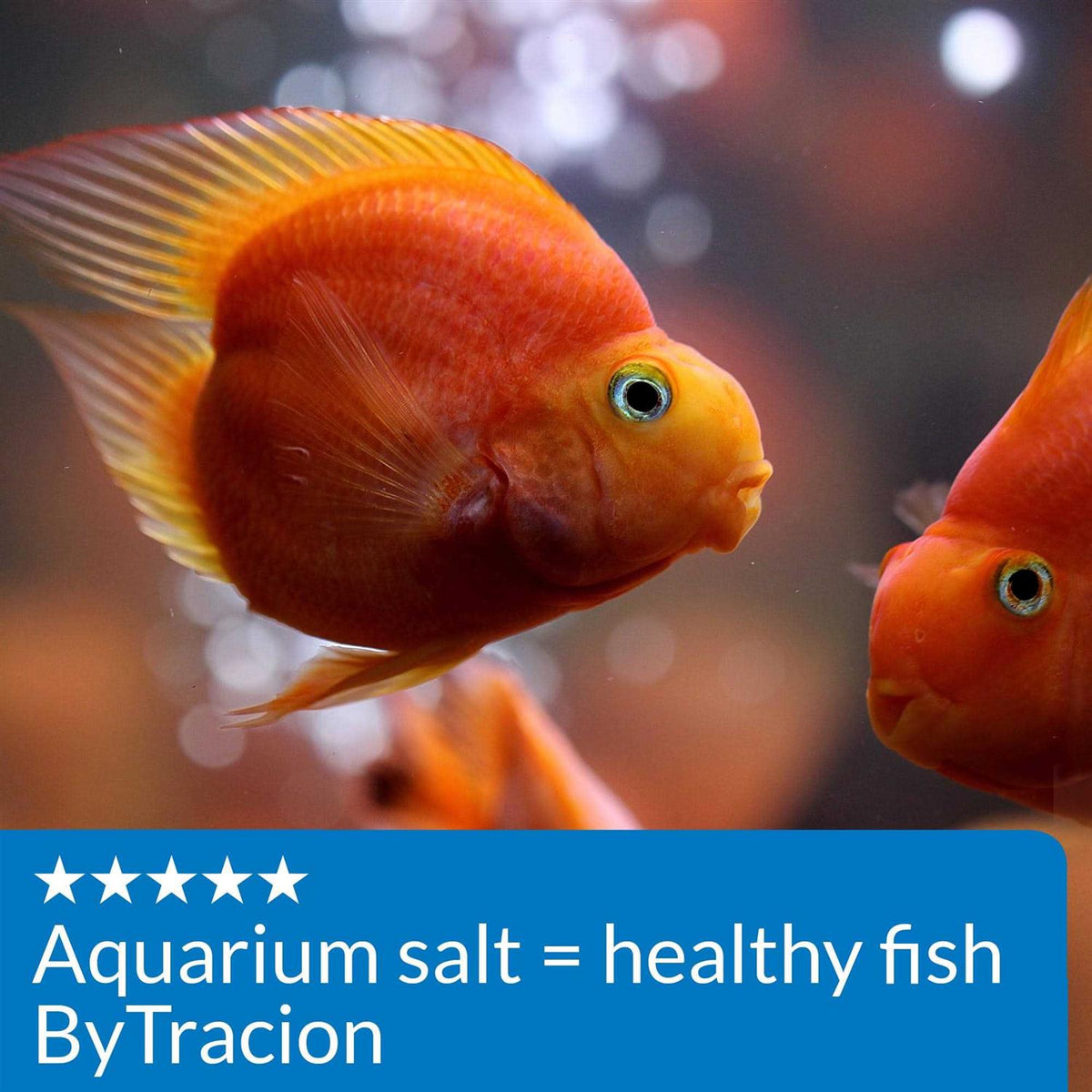 Aquarium Salt Q5612