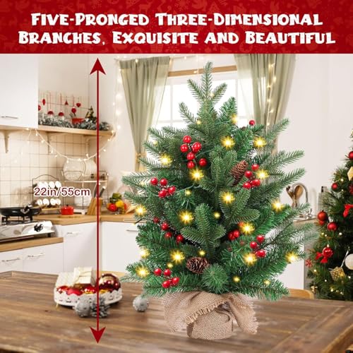 20 inch Small Christmas Tree with Lights Y553865