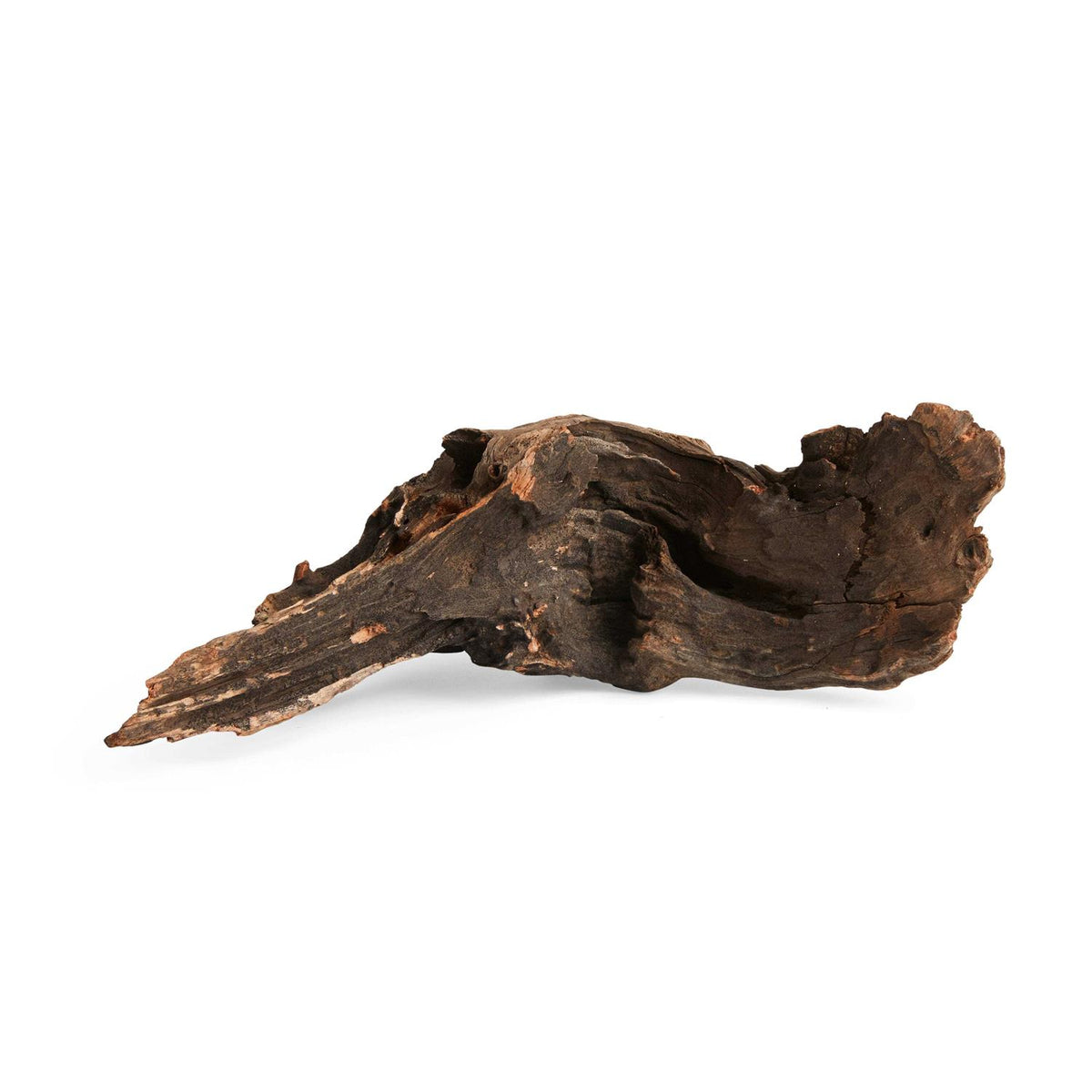 Driftwood K140221