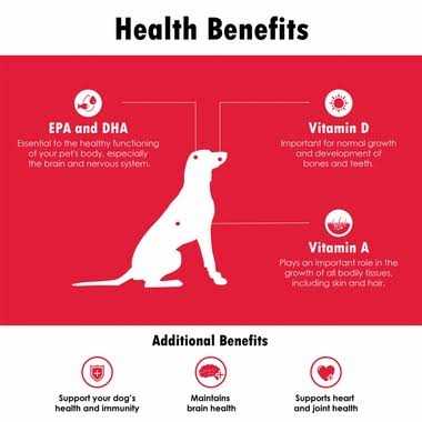 Softgel Capsules for Large Dogs Q484
