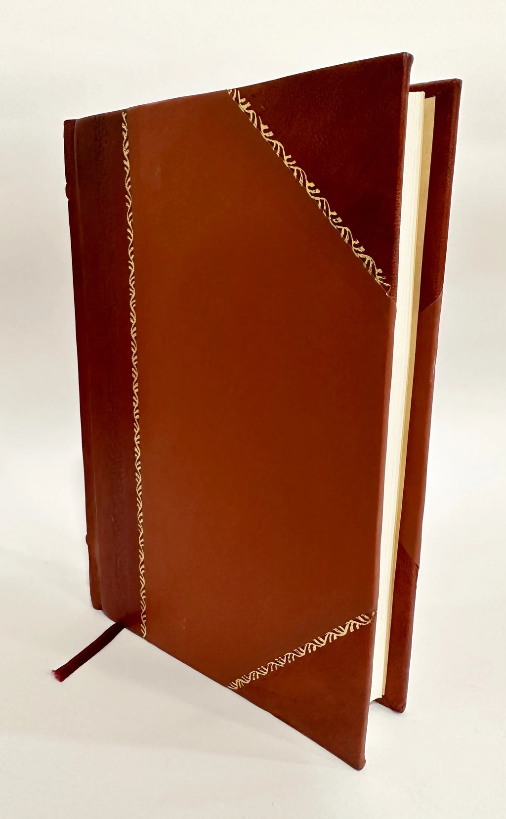 Annual Report the Town of Dorchester, New Hampshire (1879) Volume 1879 [Leather Bound] Z549