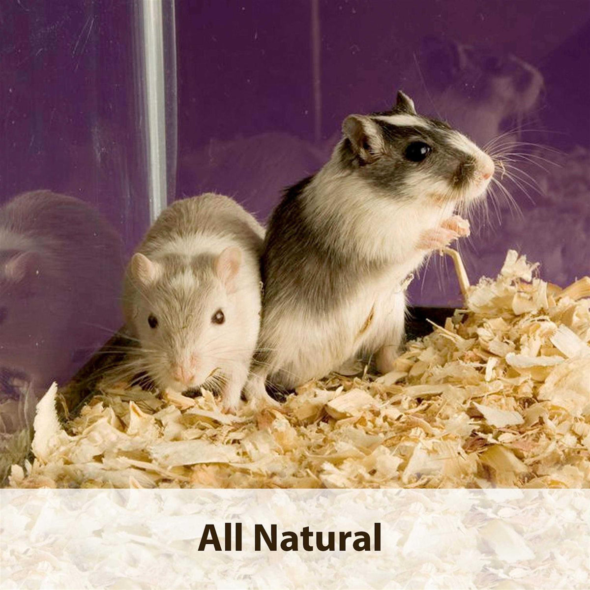 Aspen Small Pet Bedding P202351