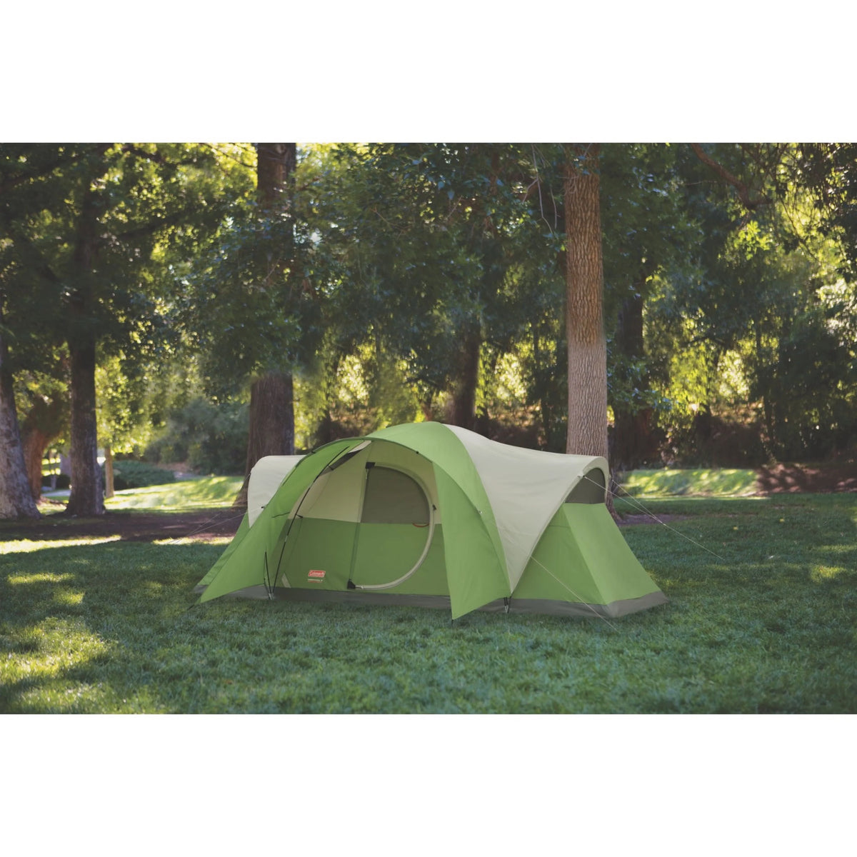 8-Person Dome Tent N924419