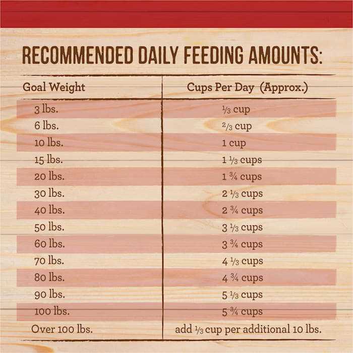 Healthy Grains Freeze Dried Raw Coated Dry Dog Food Brown Rice Recipe B85137
