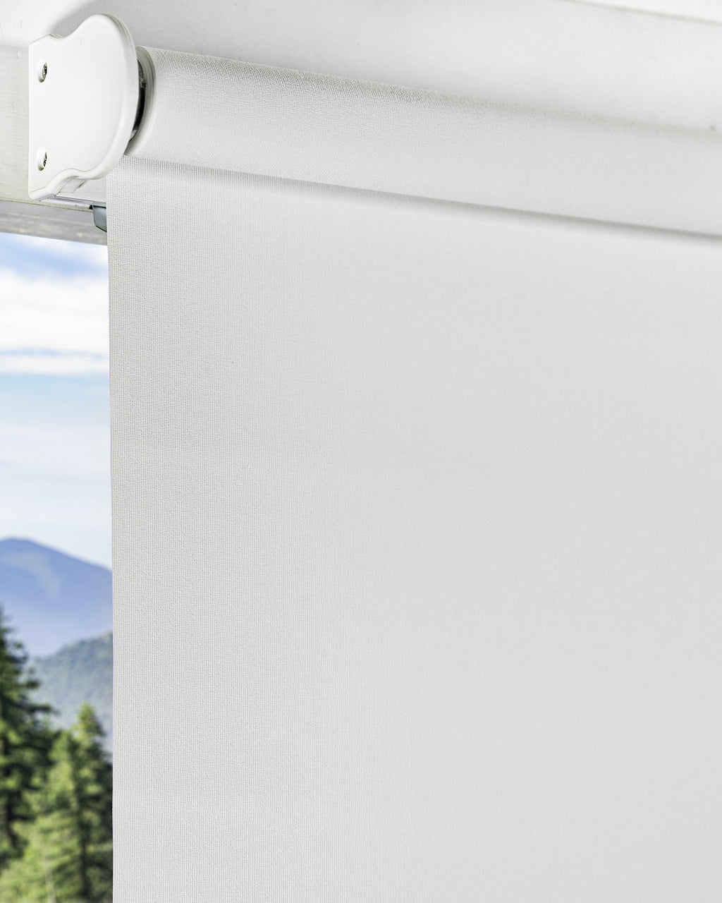 Cordless Blackout Roller Shade 23"W X 72"H C4150