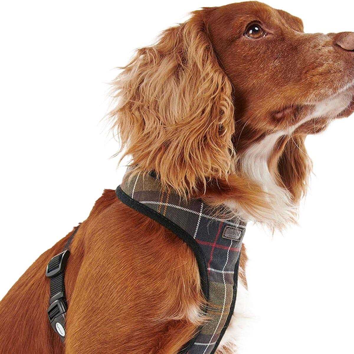 Tartan Dog Harness V85126